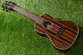 ★SOLD★NEW/KALA KA-EBY-C Concert