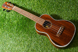 NEW/DCT DUC-150K Concert