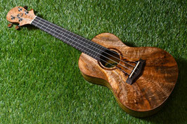 ★SOLD★NEW/BIG ISLAND U-MO-CTS Concert