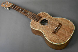 NEW/Antar Concert Mango #2056336【THGF2026展示モデル】