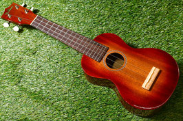 NEW/Famous FS-7G Soprano