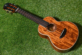 ★SOLD★NEW/aNueNue AAA2 Concert