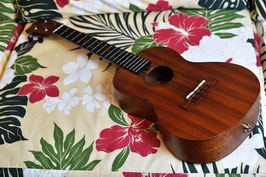 NEW/KIWAYA UKULELE KTT-2 TENOR