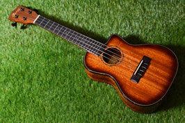 NEW/Uma Ukulele UK-17SC Concert