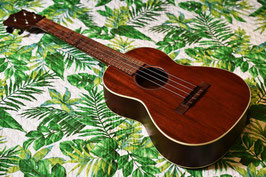 ★SOLD★USED/Martin 2 Tenor 【2011年製USED】