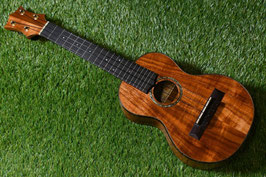 NEW/HAMAGEN C-015 Concert