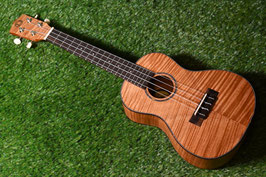 ★SOLD★NEW/DCT UKC-2152 Concert