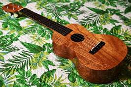 NEW/tkitki ukulele ECO-C AM Concert #1173
