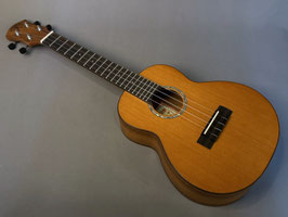 NEW/aNueNue aNN-C4 Concert