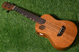 NEW/PCIKAPICK M2 Concert