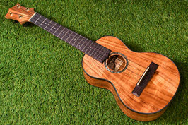 NEW/HAMAGEN C-015 Concert
