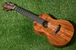 ★SOLD★NEW/Big Island KT-CTS Concert
