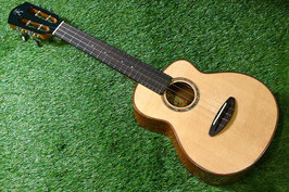 NEW/aNueNue UC100 Concert
