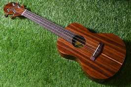 ★SOLD★NEW/BIG ISLAND KT-CTS Concert