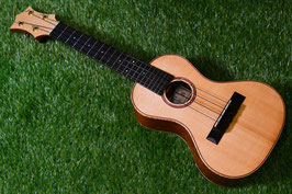 NEW/HAMAGEN C-017 Concert