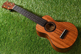 ★SOLD★NEW/HAMAGEN S-020 Soprano