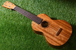 NEW/tkitki ukulele AMC-ABALONE Concert【S/N1569】