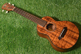 USED/G String Concert CB【USED】
