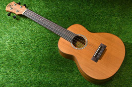 NEW/aNueNue aNN-C4 Concert #2