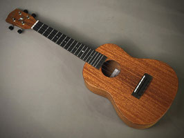 NEW/Millar CPA-E Concert【S/N 115】