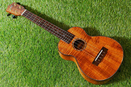 USED/MAKOLELE No.221 Concert【USED/2018年】