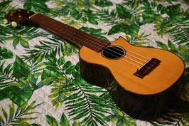 ★SOLD★USED/ASTURIAS SOLO UKULELE Spruce × Jacaranda 【USED】