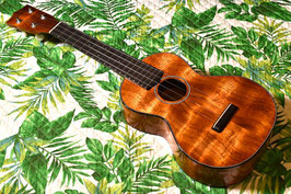 NEW/tkitki ukulele HK-C5A/E Custom Concert