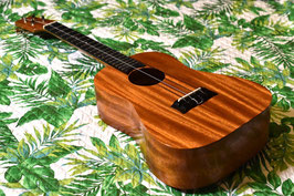 ★SOLD★USED/Island Ukulele TM Tenor【USED】