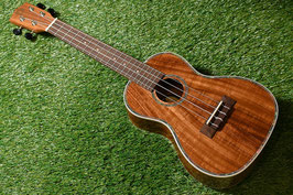★SOLD★NEW/DCT DUC-150K Concert