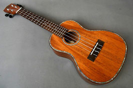 NEW/DCT DUC-300M Concert