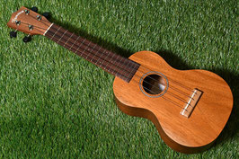 NEW/Famous FS-210 Soprano
