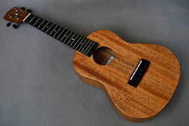 NEW/Millar CPA-E Concert【S/N 110】