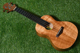 USED/Big Island KT-CT Concert【USED】