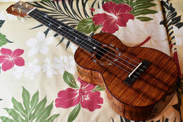 ★SOLD★NEW/Oihata ukulele&guitars The Dog's Concert No.225