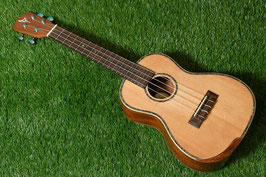 NEW/DCT DUC-450 Concert