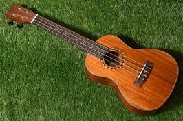 ★SOLD★NEW/DCT DUC-600M Concert