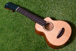 ★SOLD★NEW/aNueNue US100E Soprano