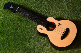 OUTLET/aNueNue US200HB HummingBird Soprano