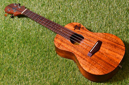 ★SOLD★USED/Big Island KT-CTS Concert【USED】