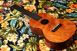 NEW/tkitki ukulele UKULELEGYPSY KIYOSAKU ECO-C Maho Concert