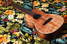 NEW/Martin 2K TENOR UKE