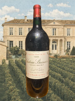1995 Château Brainaire (Duluc-Ducru) Magnum 150 cl
