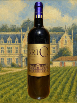 2015 BRIO de Cantenac Brown