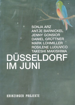 Duesseldorf im Juni (Ausstellungs-Katalog Krinzinger Projekte 2006).