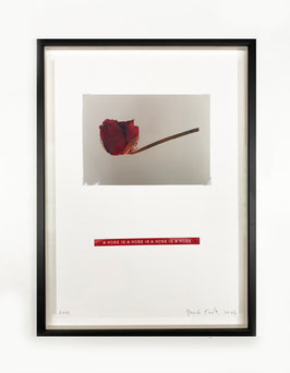 Gavin Turk - "Eros" A rose is a rose is a rose (Kunst Edition / art edition 2022).