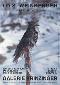 Lois Weinberger - Field work / Frozen Starling (Plakat / Poster 2021).