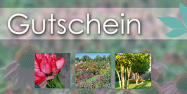 Geschenkgutschein