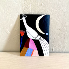 PEACOCK 01