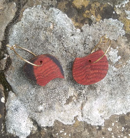 Boucles asymétriques en Cocobolo