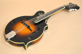 The Loar　LM-520-VS　2021年頃